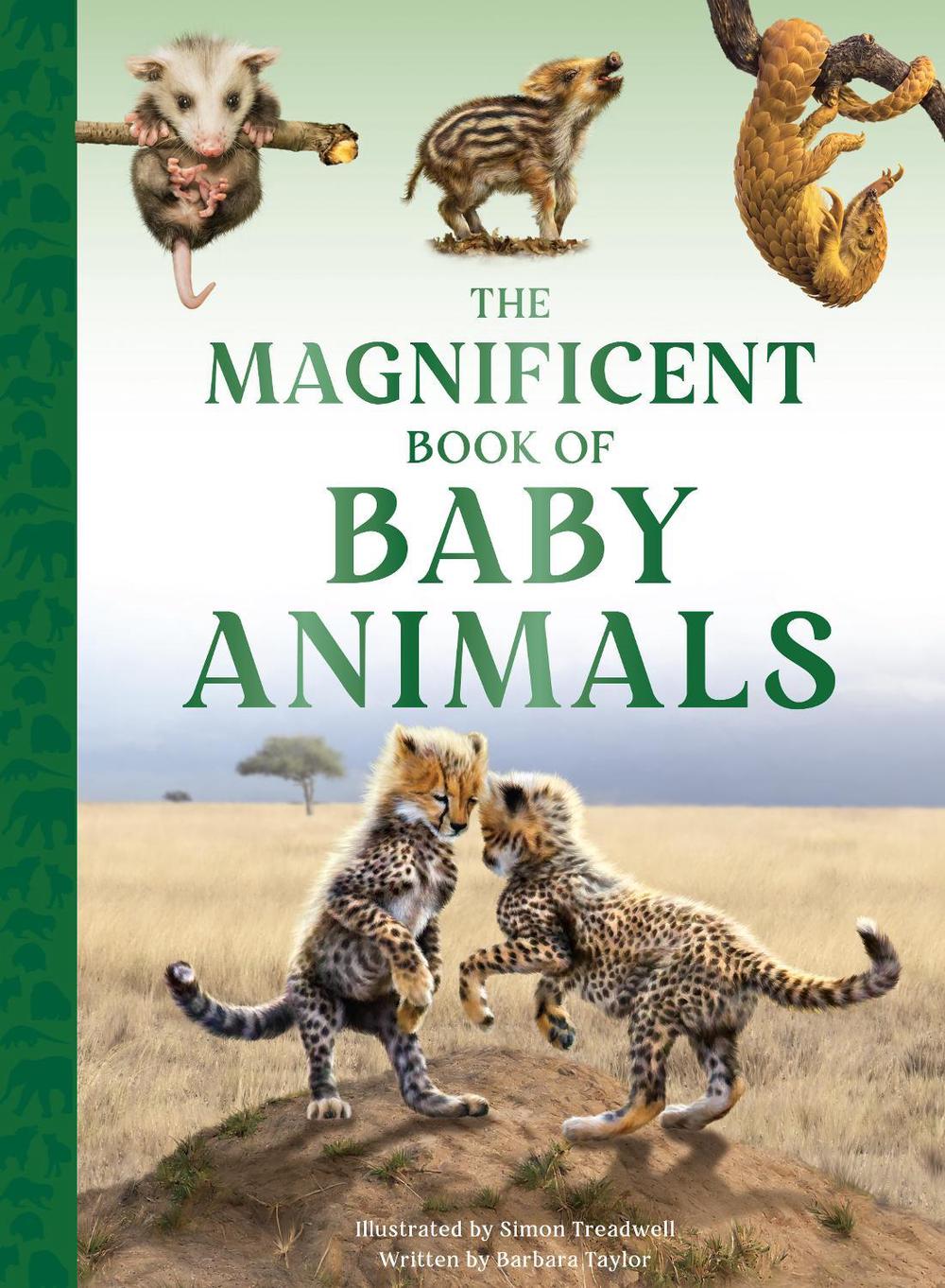 The Magnificent Book of Baby Animals by Barbara Taylor - ISBN: 9798886740554