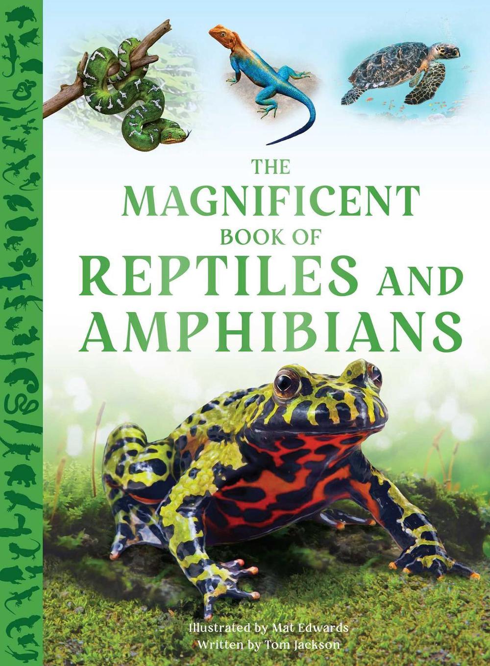 The Magnificent Book of Reptiles and Amphibians by Tom Jackson - ISBN: 9798886741636
