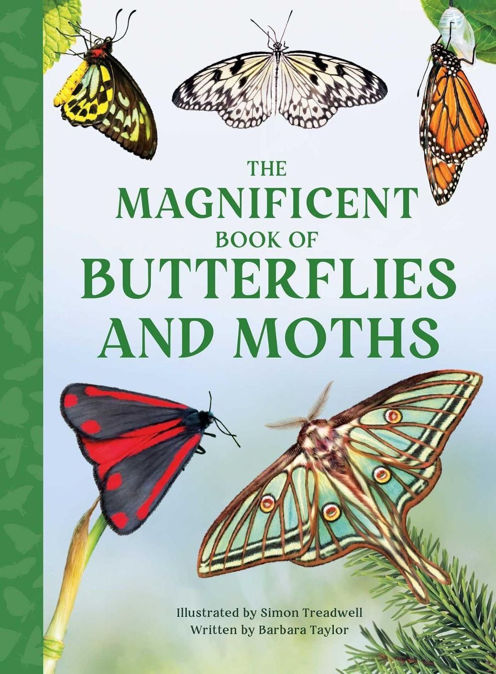 The Magnificent Book of Butterflies & Moths by Barbara Taylor - ISBN: 9798886743371