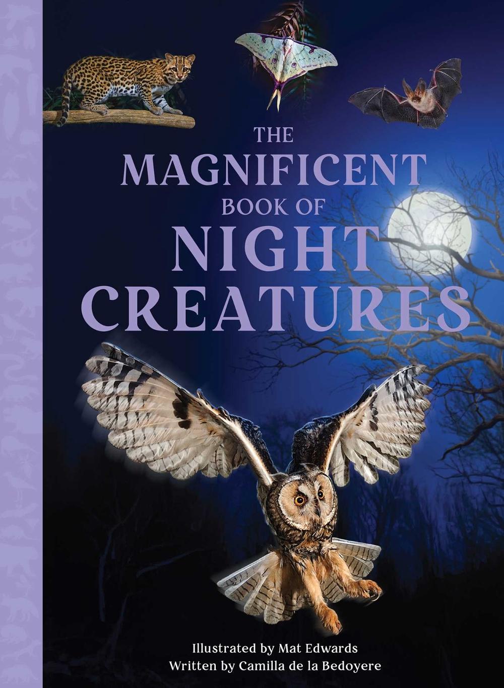The Magnificent Book of Night Creatures by Camilla de la Bedoyere - ISBN: 9798886743470