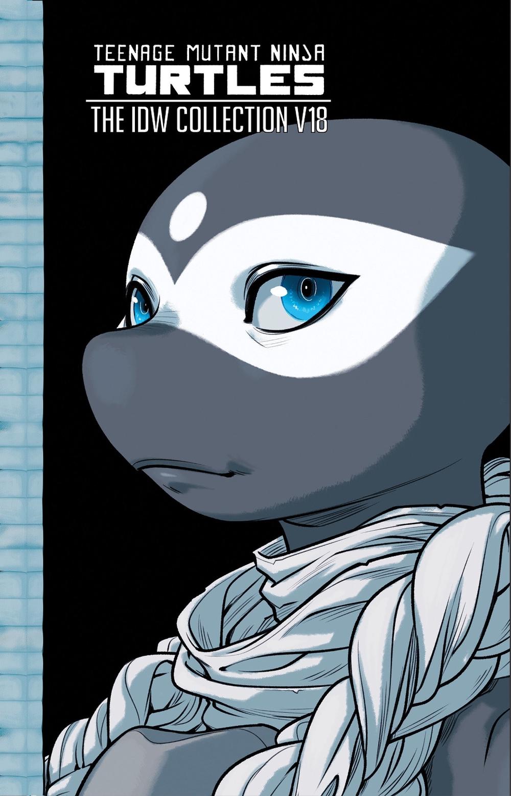 Teenage Mutant Ninja Turtles: The IDW Collection, Volume 18, 9798887243153