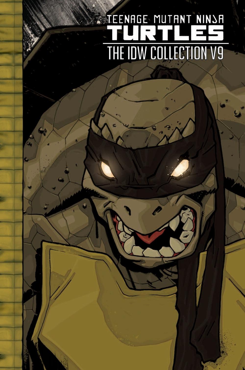 Teenage Mutant Ninja Turtles: The IDW Collection Volume 9, 9798887243955