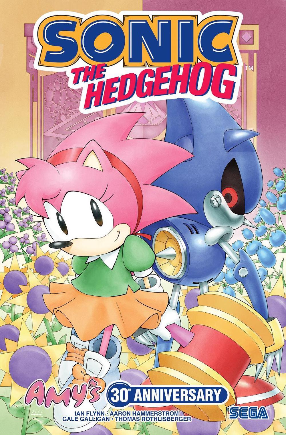 Sonic the Hedgehog: Amy's Anniversary Special, 9798887244754