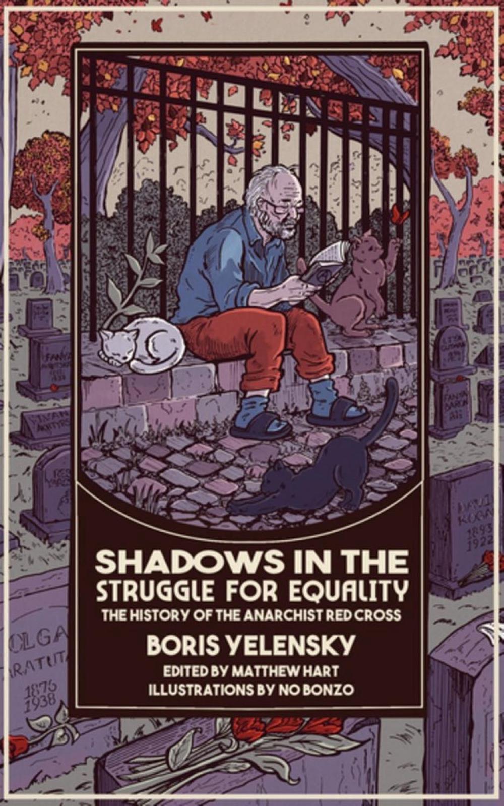 Shadows in the Struggle for Equality, 9798887440873