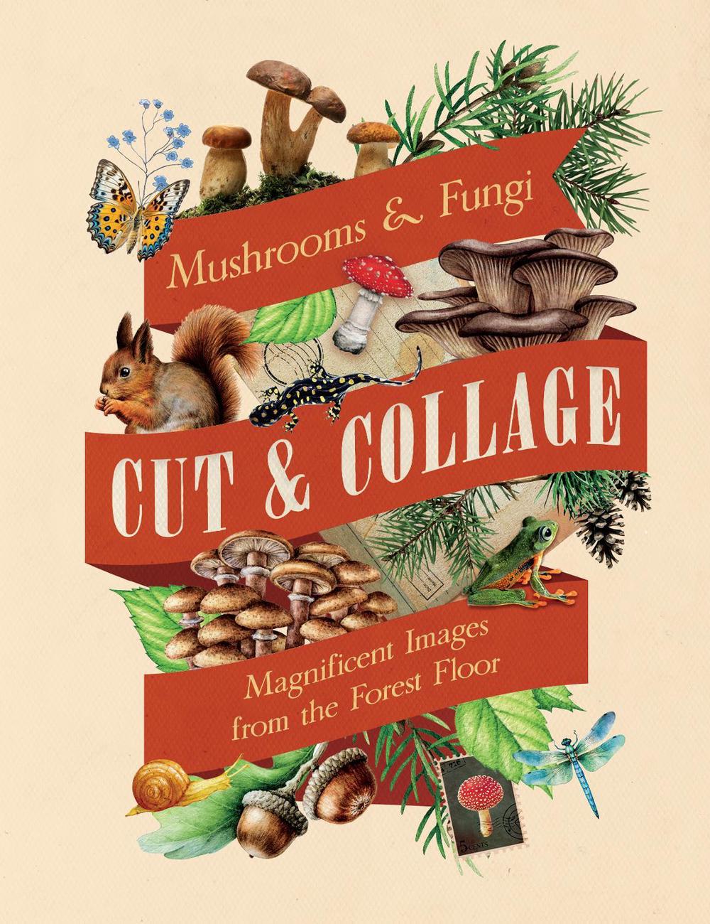 Cut & Collage Mushrooms and Fungi, 9798887621487