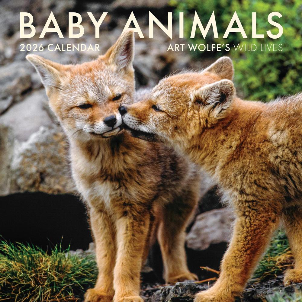 2026 Baby Animals Wall Calendar by Art Wolfe - ISBN: 9798887621562