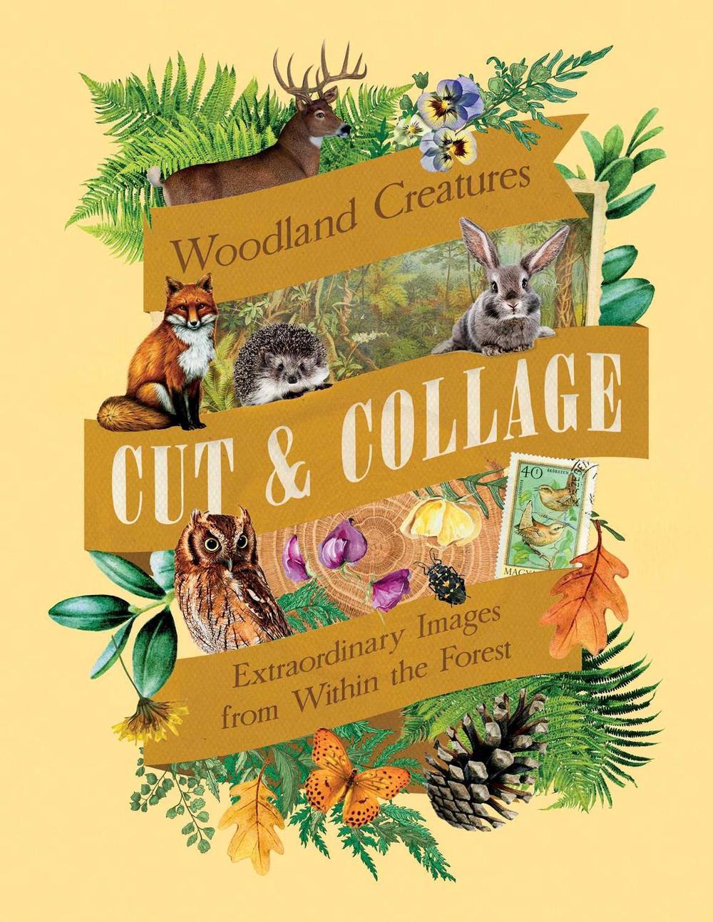 Cut & Collage Woodland Creatures, 9798887621647