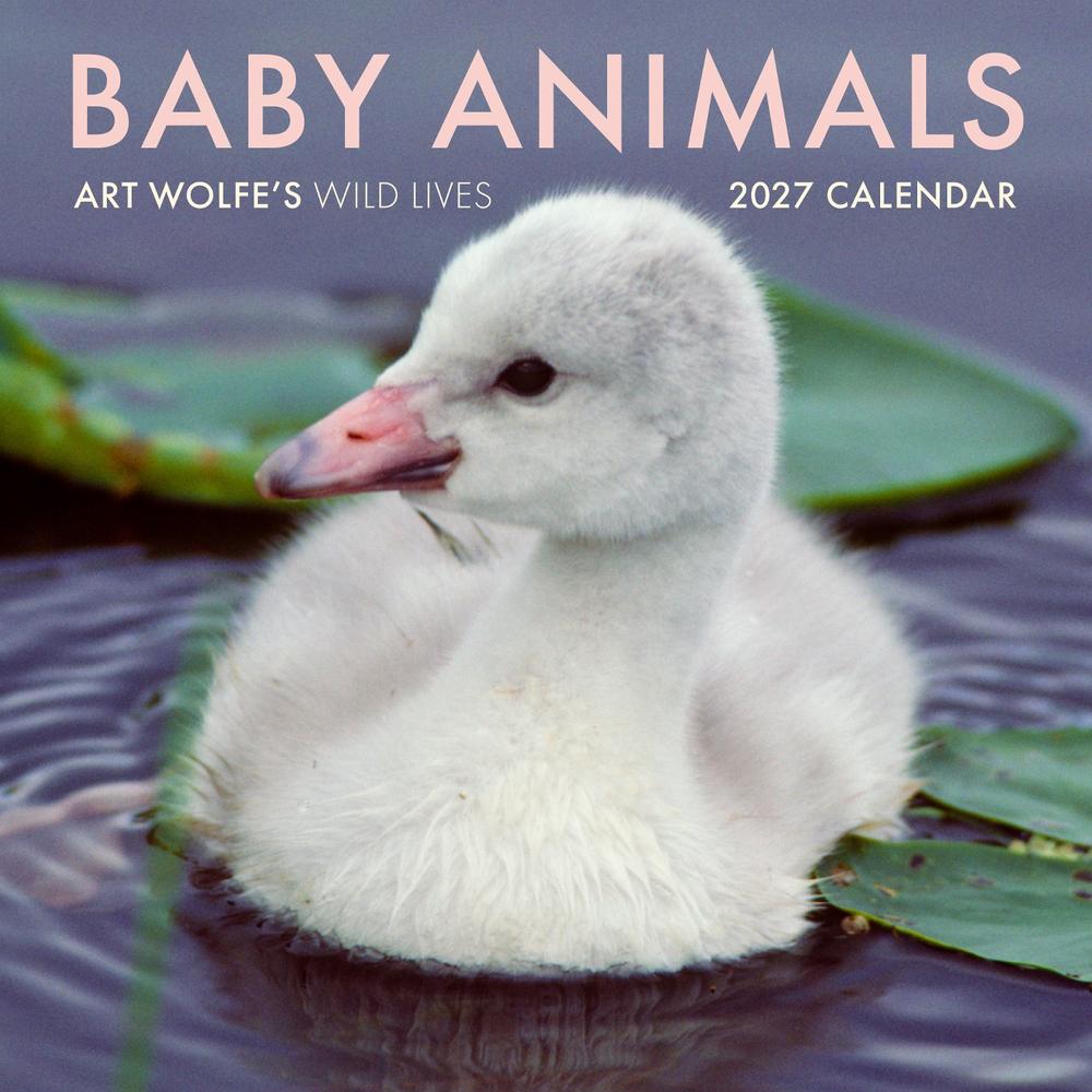 2027 Baby Animals Wall Calendar by Art Wolfe - ISBN: 9798887621982