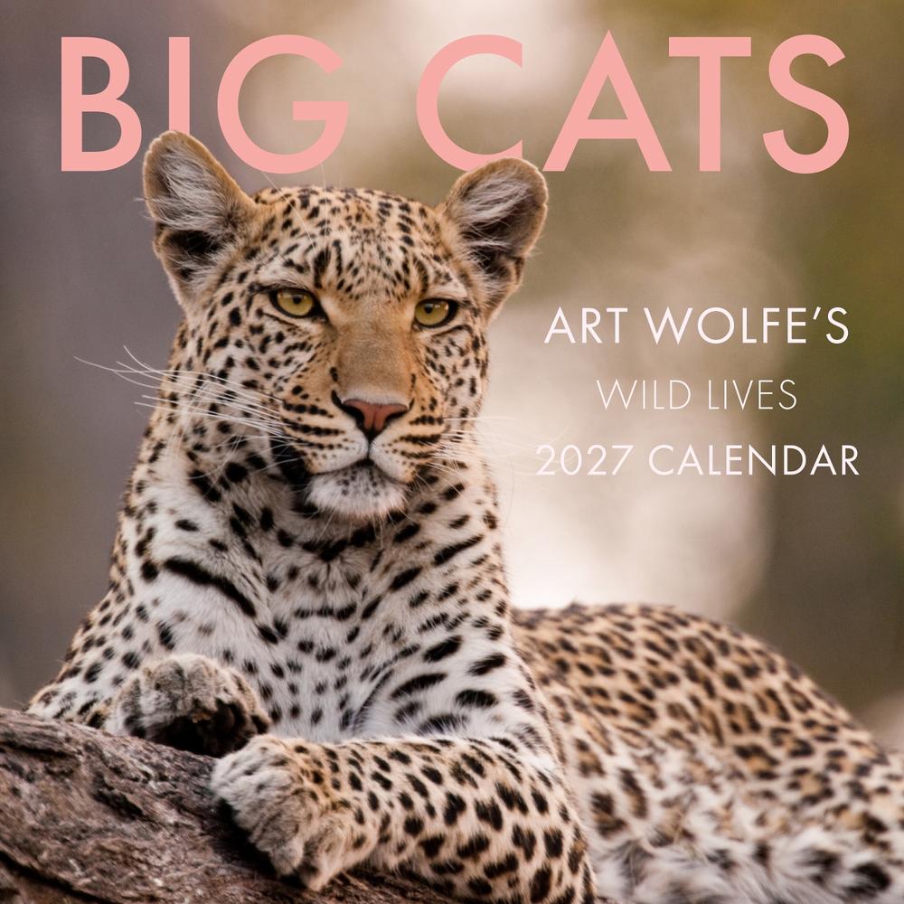2027 Big Cats Wall Calendar by Art Wolfe - ISBN: 9798887621999