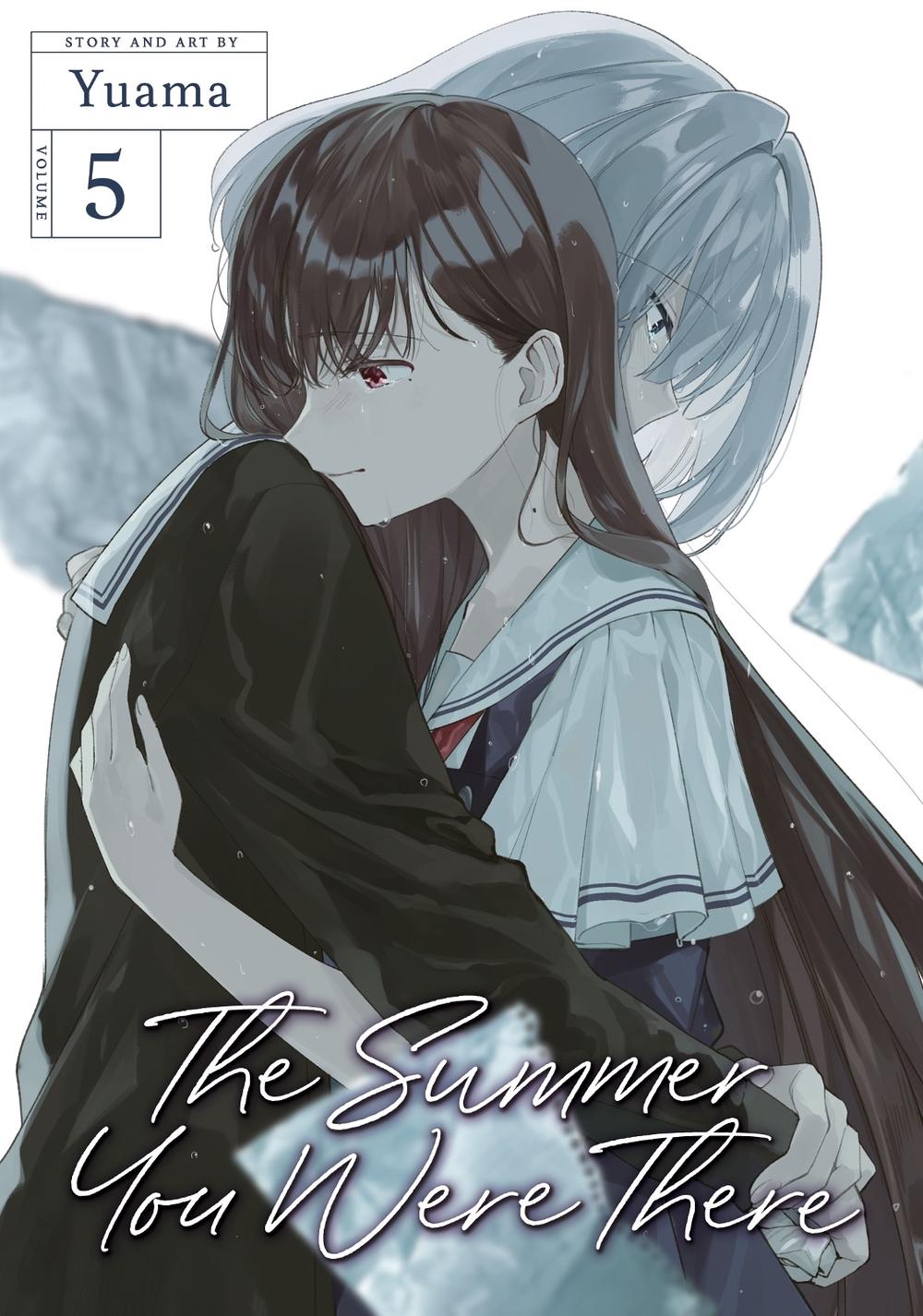 The Summer You Were There Vol. 5, 9798888436738