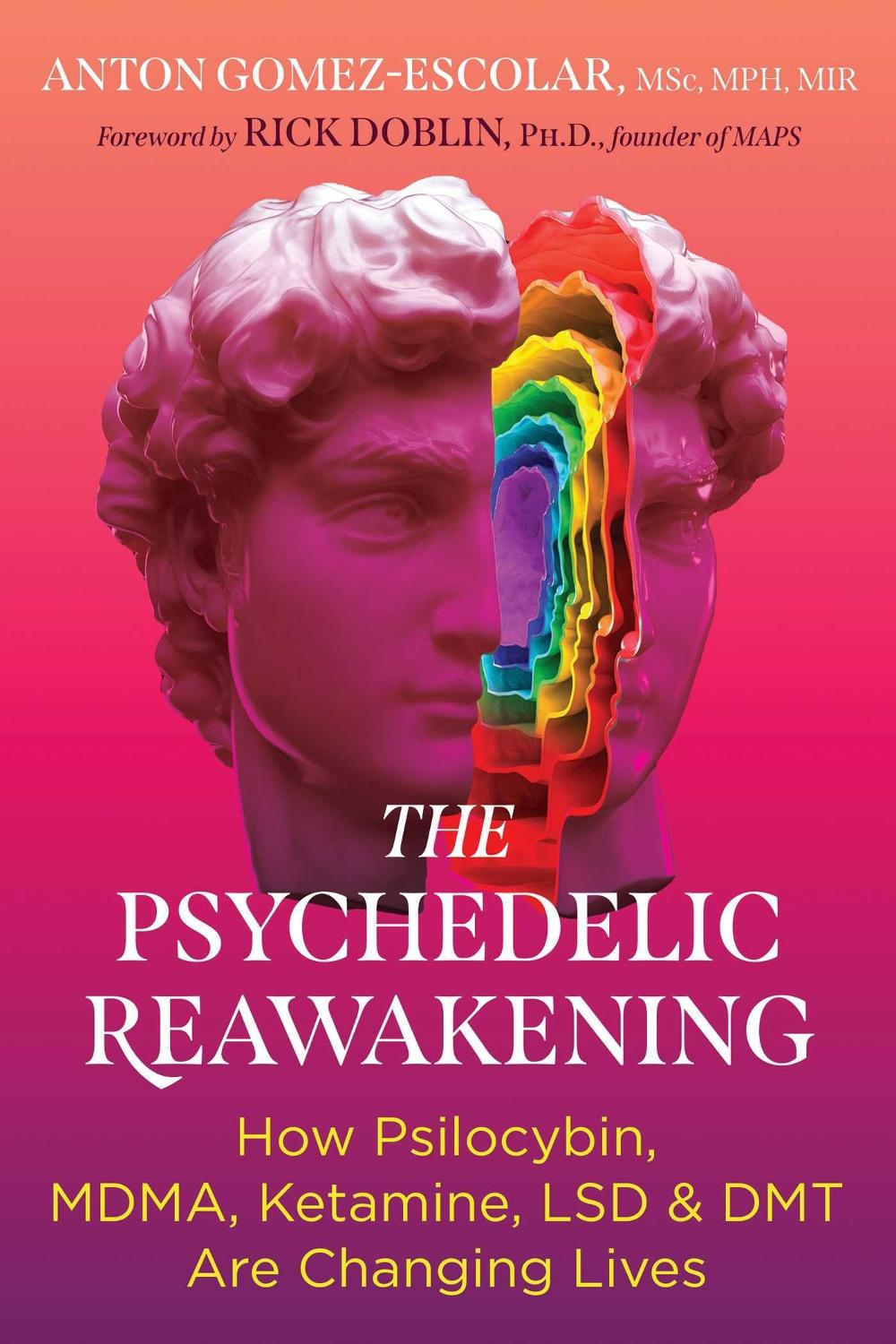The Psychedelic Reawakening, 9798888500026