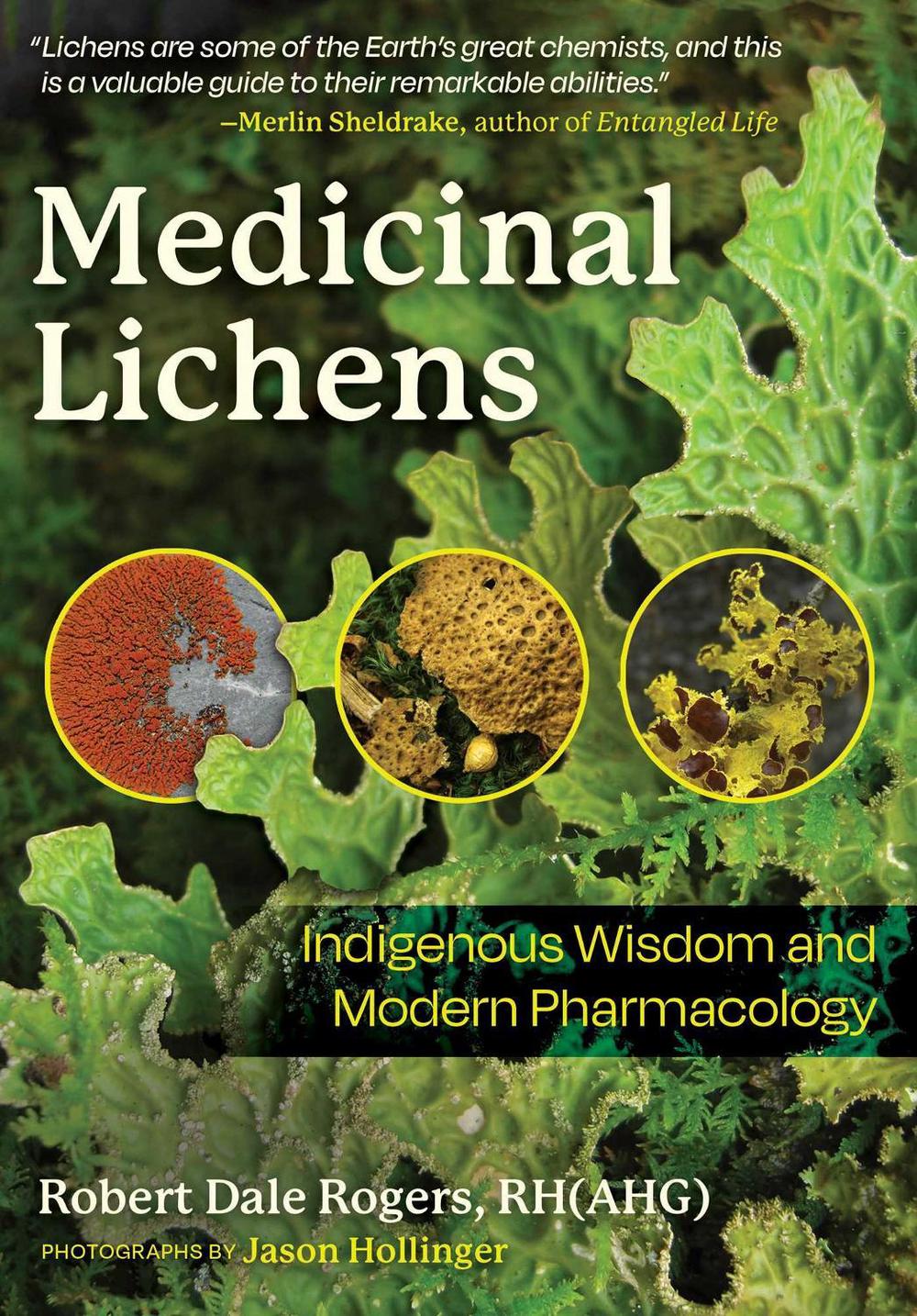 Medicinal Lichens, 9798888500248