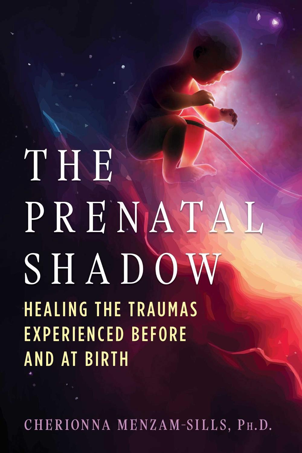 The Prenatal Shadow, 9798888501146