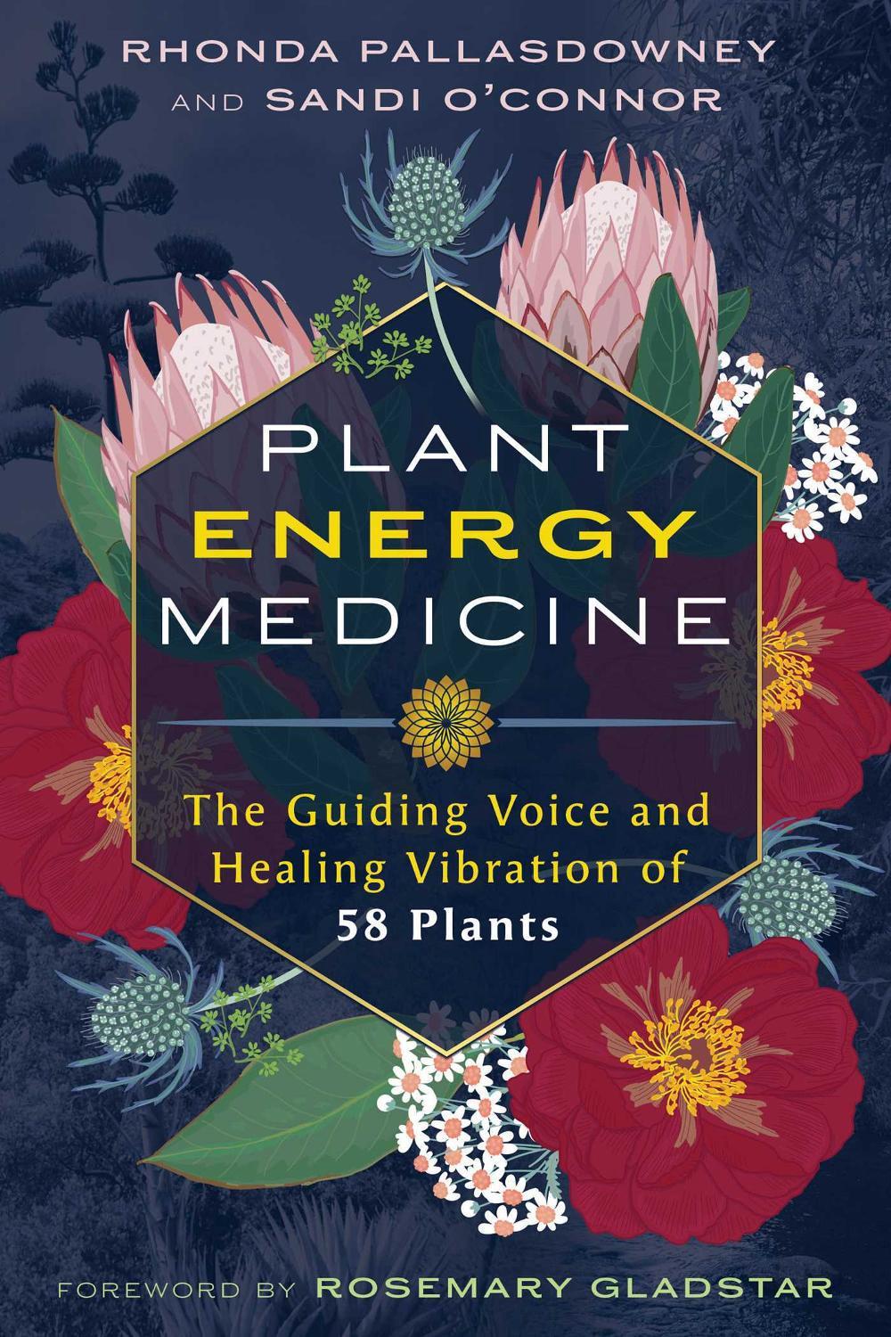 Plant Energy Medicine, 9798888501757