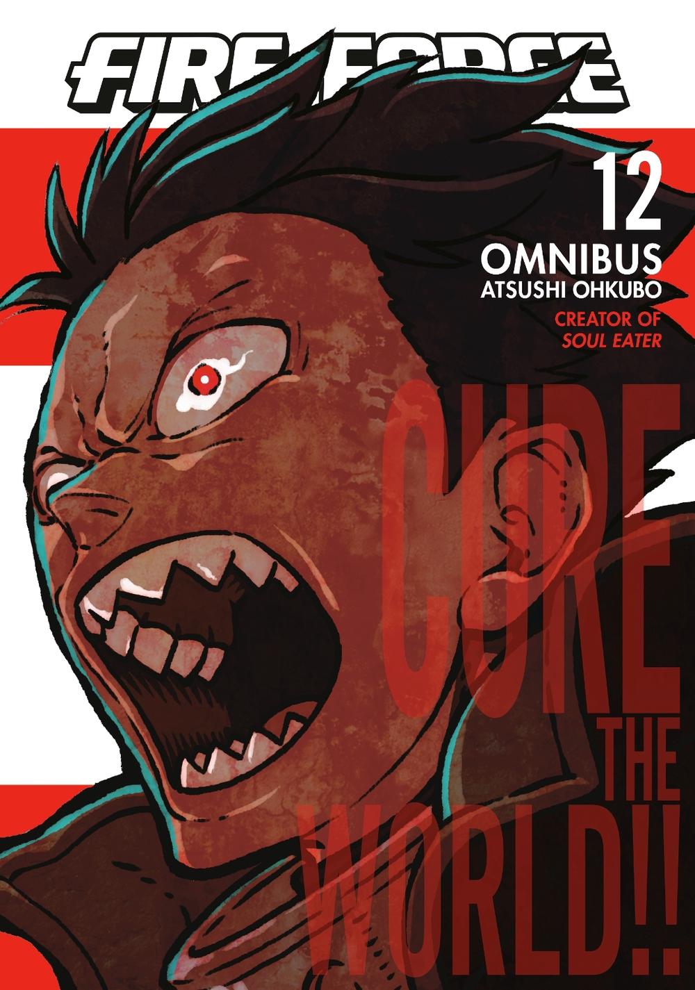 Fire Force Omnibus 12 (Vol. 33-34), 9798888770412