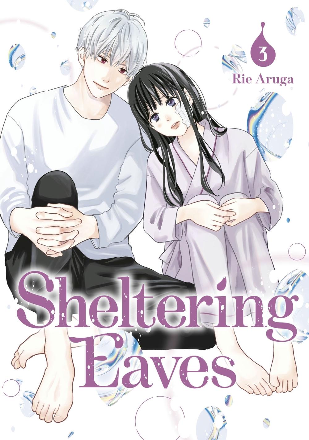 Sheltering Eaves 3, 9798888773253