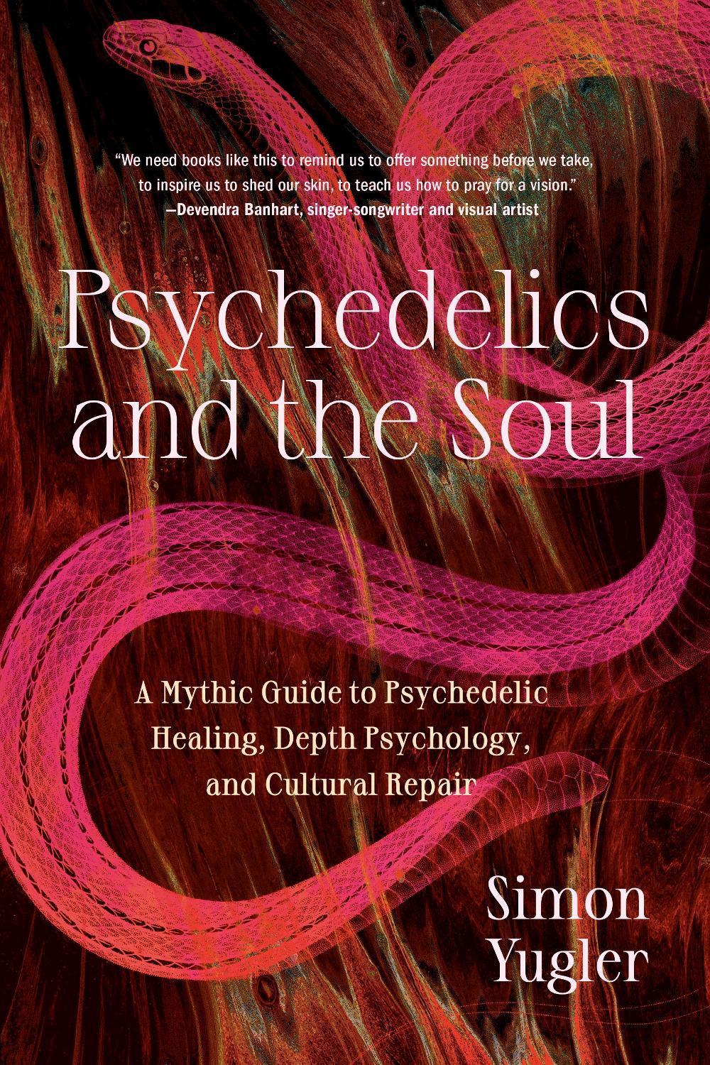 Psychedelics and the Soul, 9798889840640