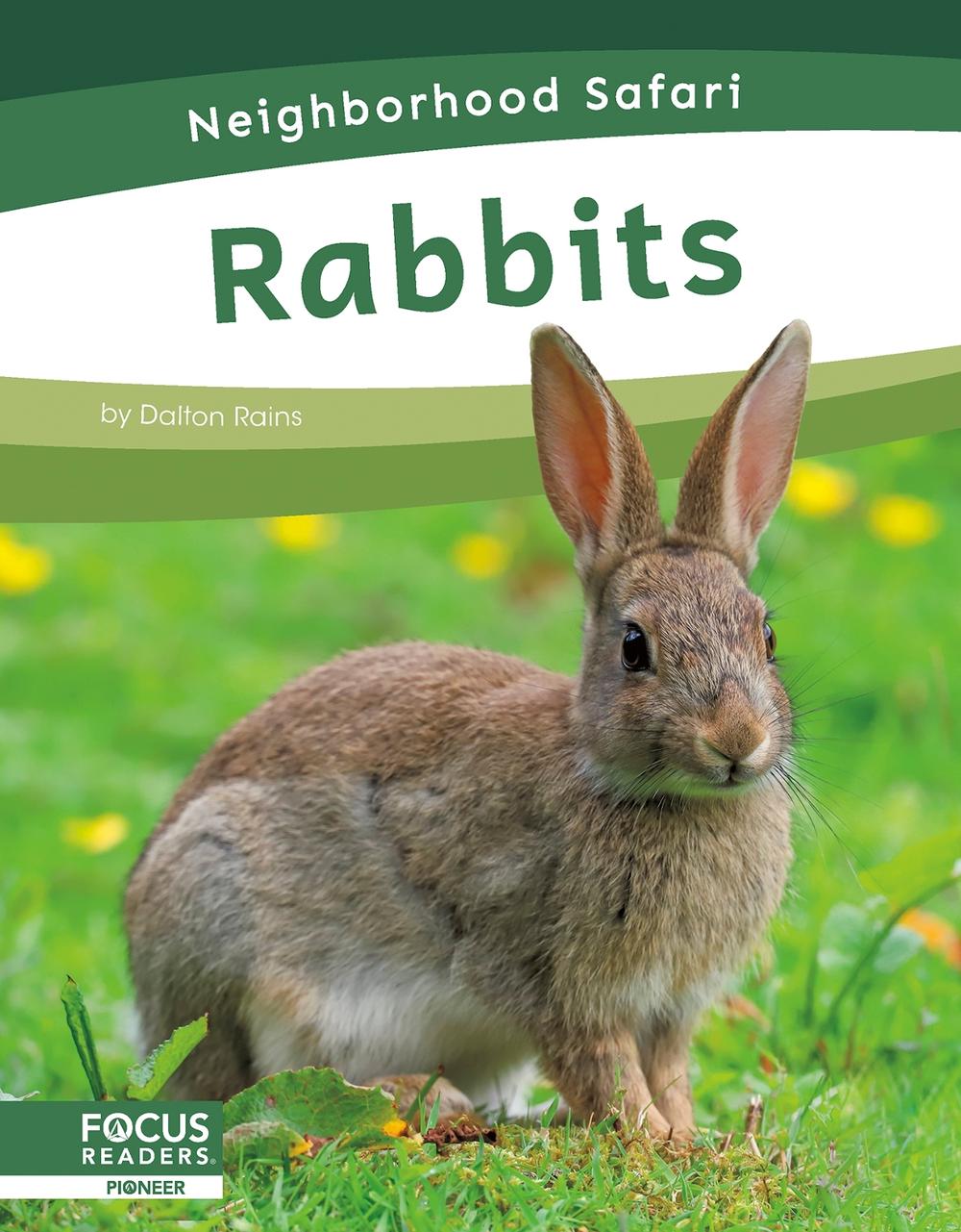 Rabbits by Dalton Rains, Hardcover, 9798889981787 Buy online at