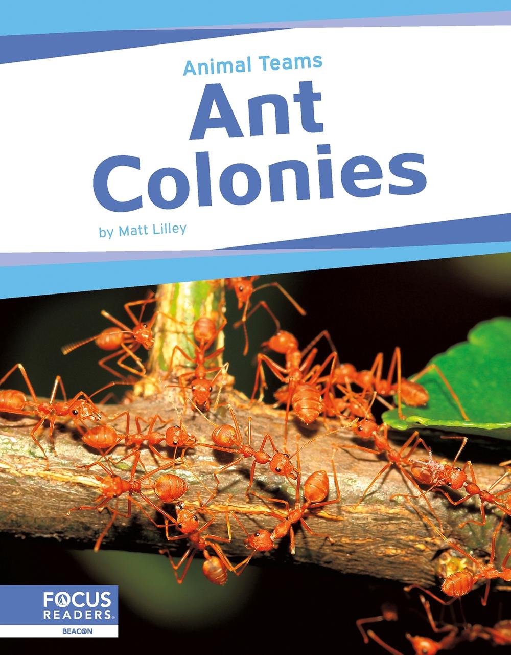 Ant Colonies, 9798889981886