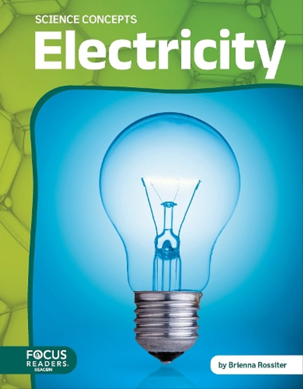Electricity by Brienna Rossiter - ISBN: 9798889988267
