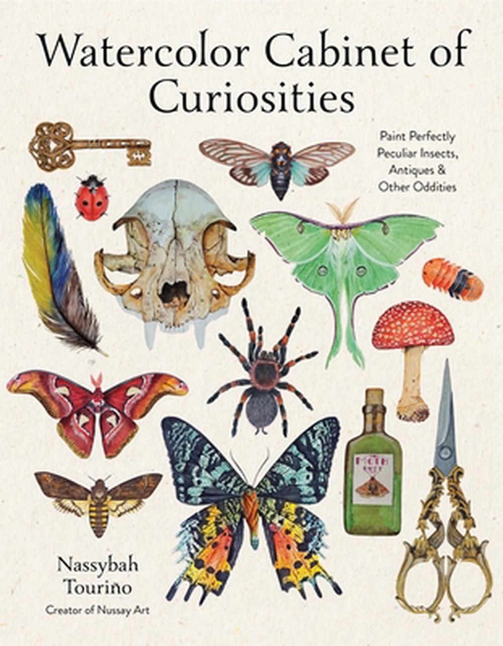Watercolor Cabinet of Curiosities, 9798890032669