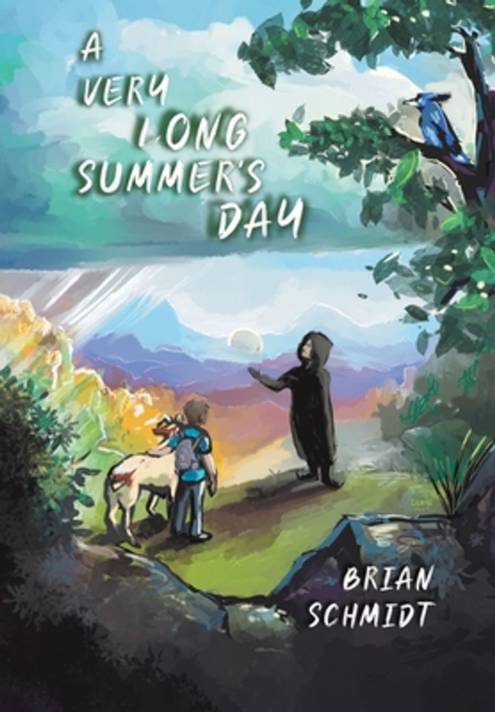 A Very Long Summer's Day by Brian Schmidt, Hardcover, 9798890437976