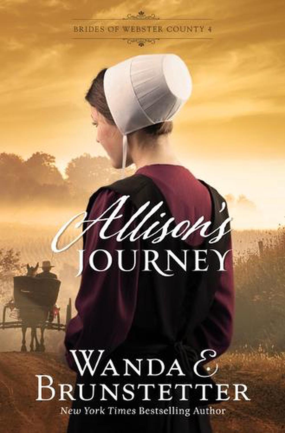 Allison's Journey, 9798891510999