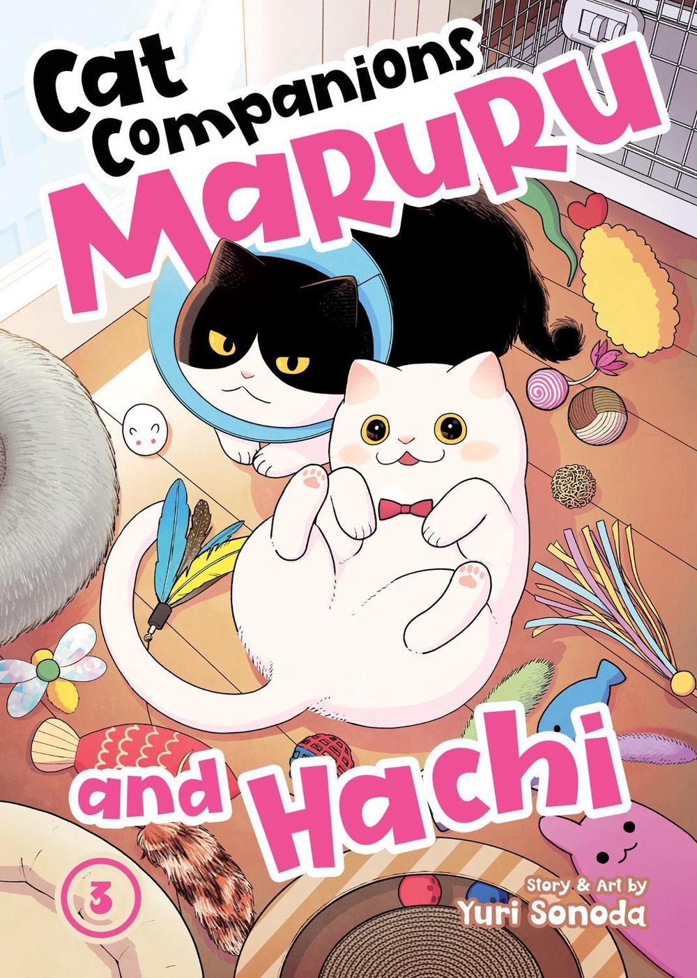 Cat Companions Maruru and Hachi Vol. 3, 9798891605497