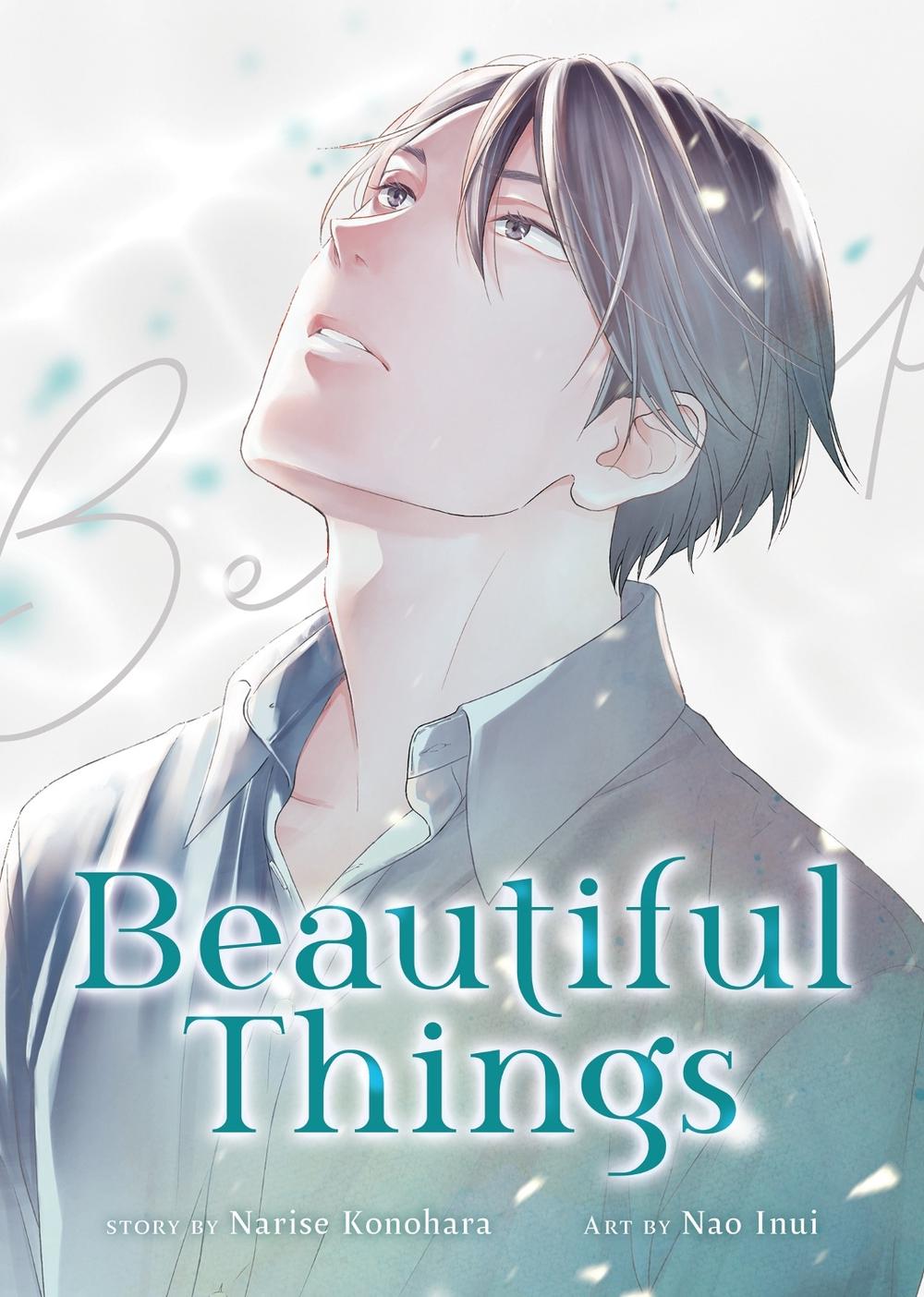 Beautiful Things: The Complete Manga Collection, 9798891607361