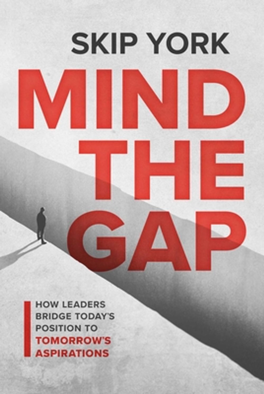 Mind the Gap by Skip York - ISBN: 9798891883604