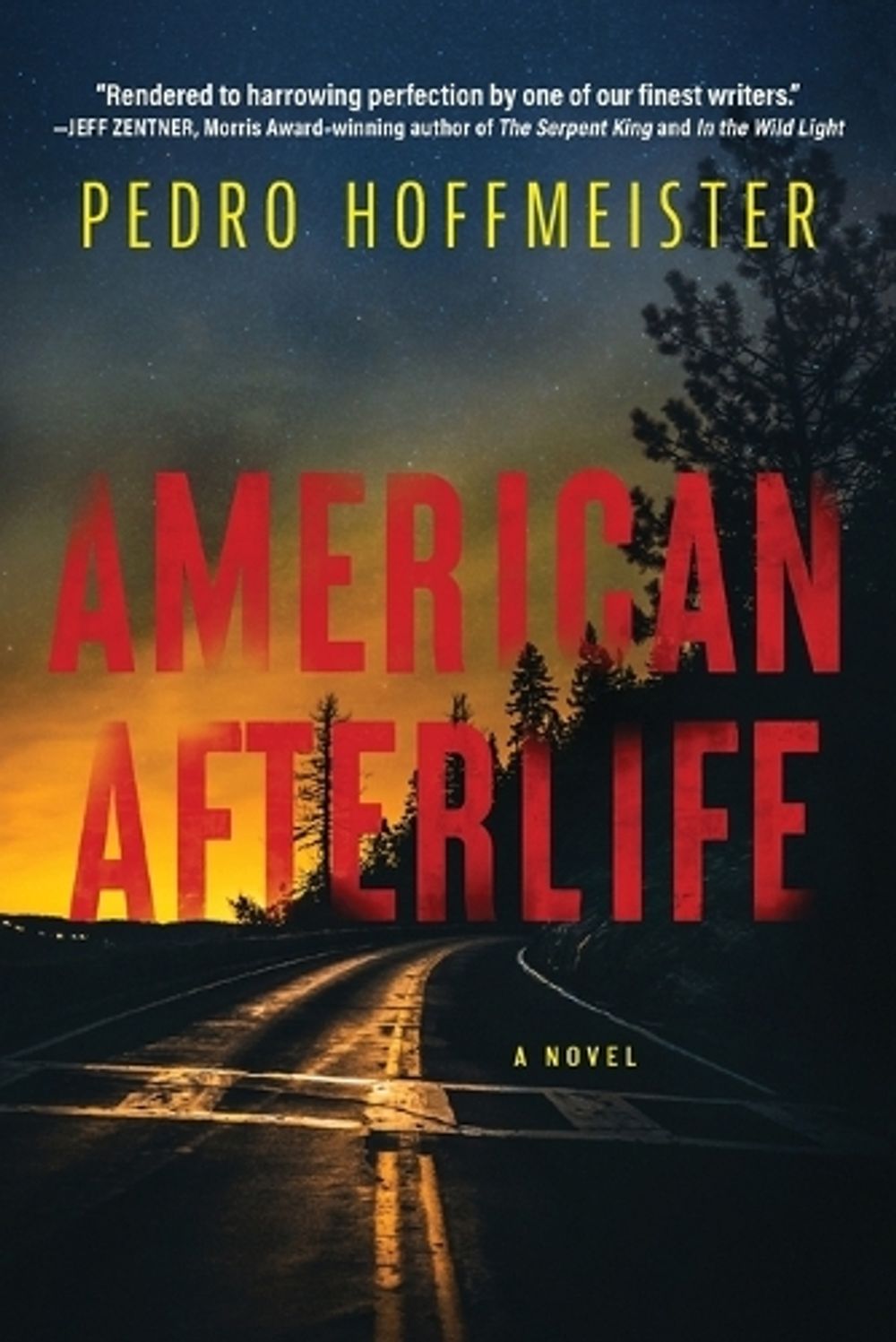 American Afterlife by Pedro Hoffmeister - ISBN: 9798892429405