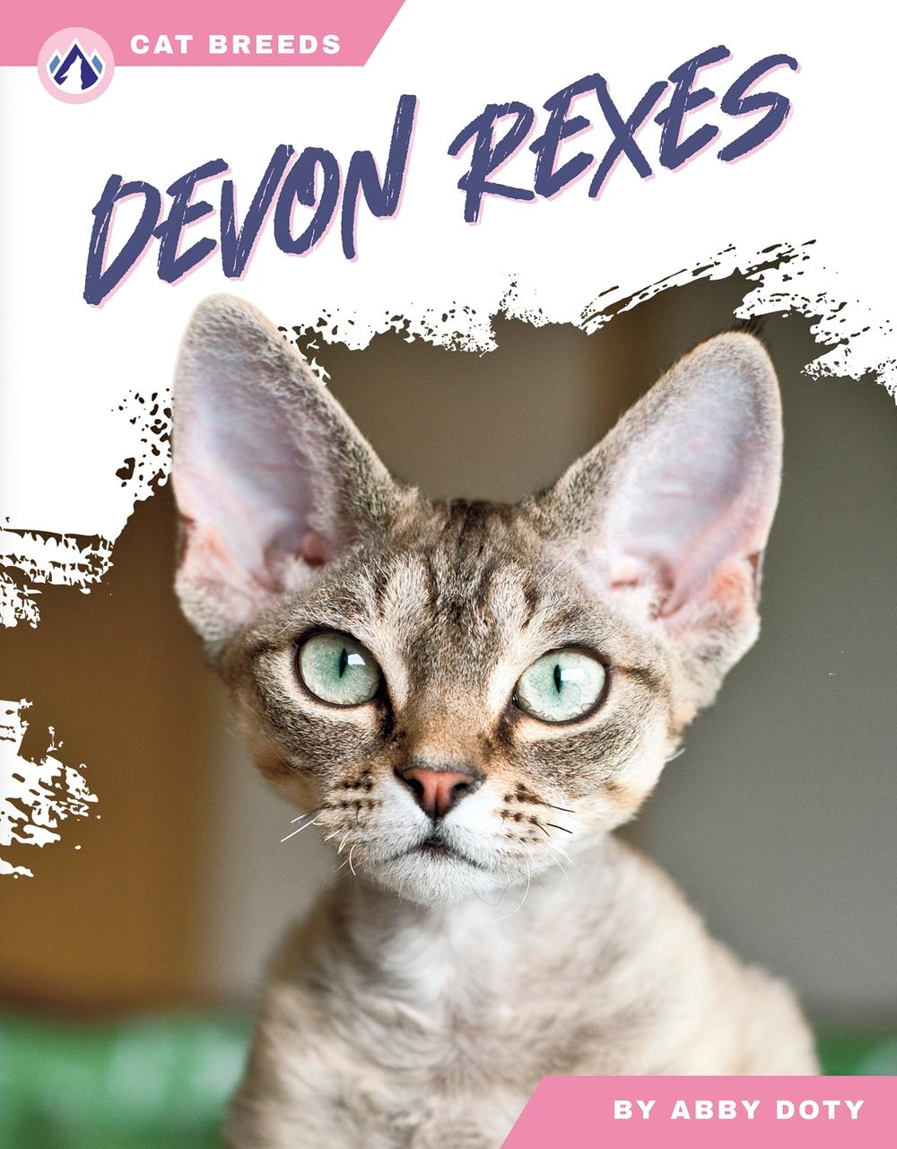 Facebook Red Devon Rex Devon Rexes By Abby Doty, Hardcover