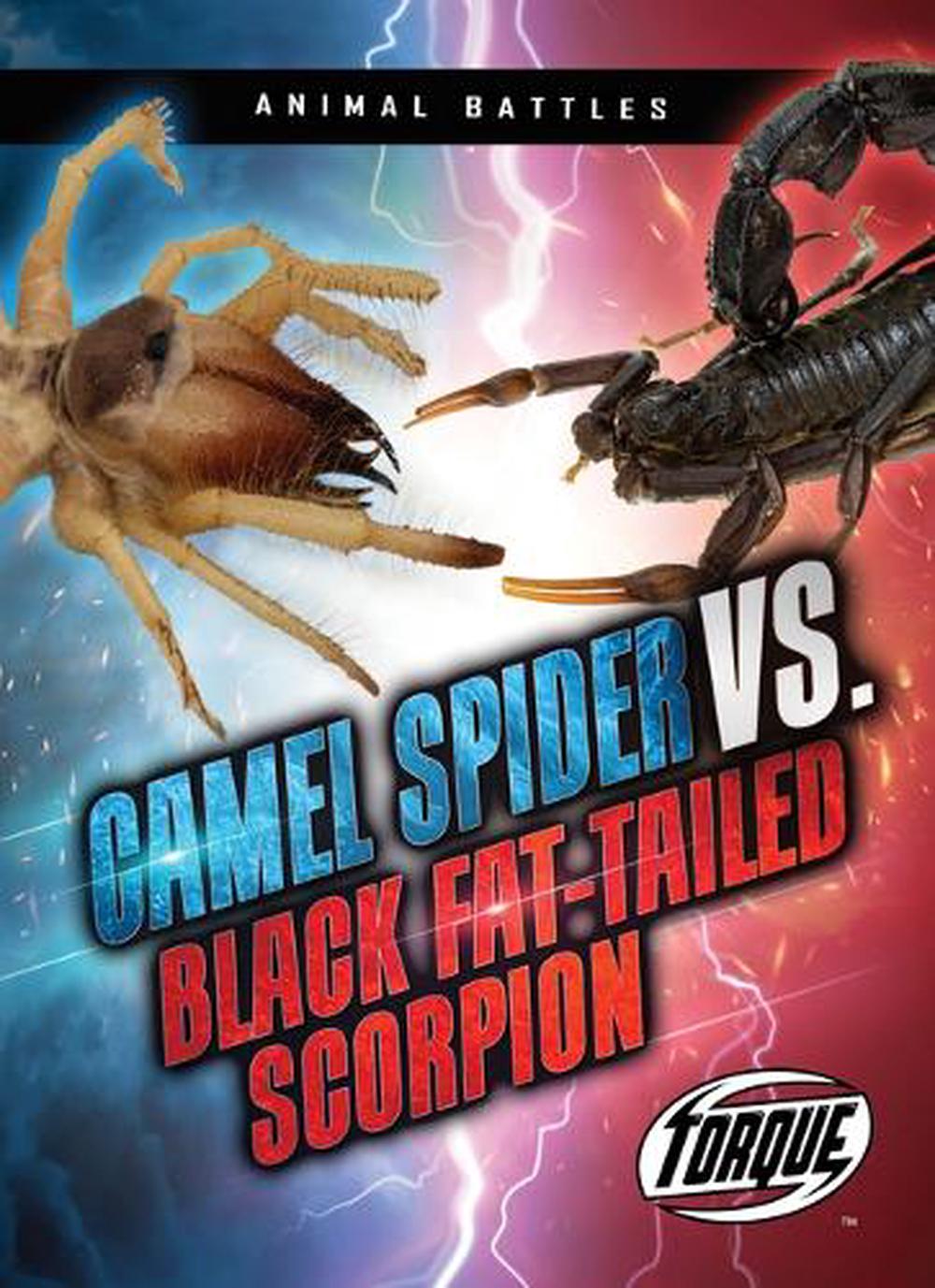Camel Spider vs. Black FatTailed Scorpion by Nathan Sommer, Paperback