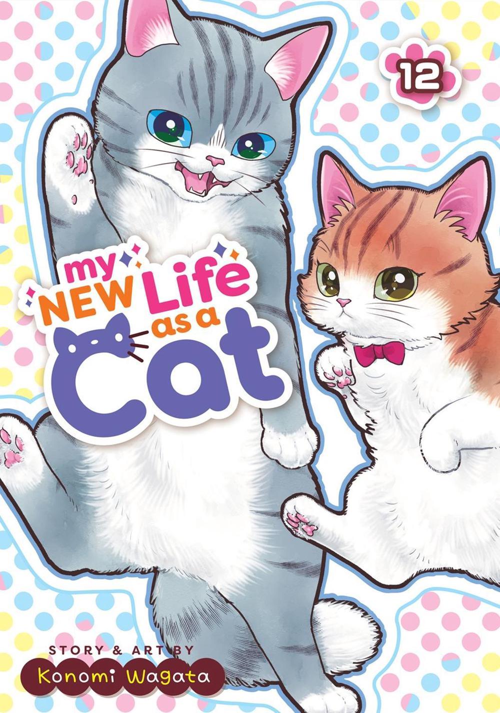 My New Life as a Cat Vol. 12, 9798893731231