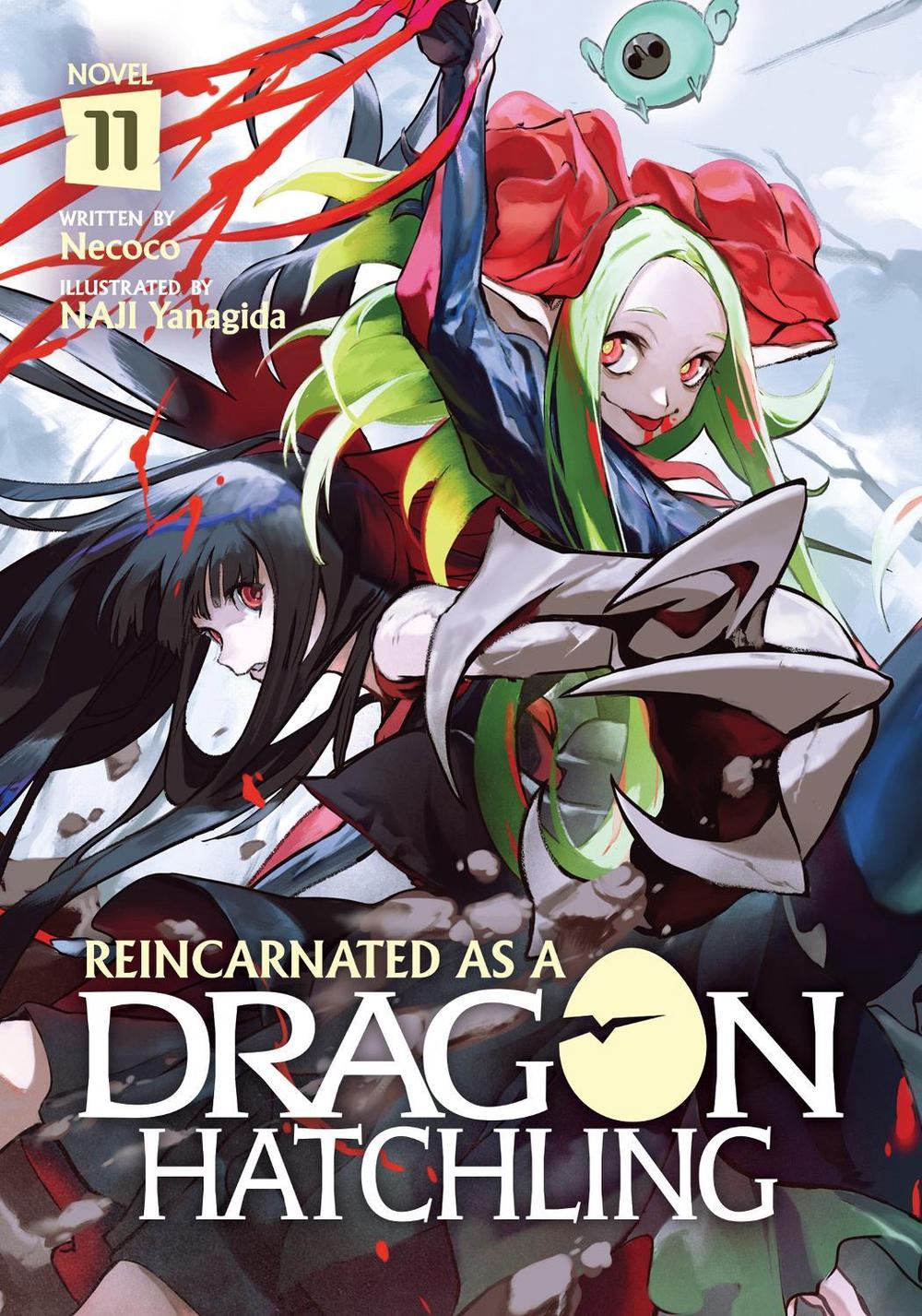 Reincarnated as a Dragon Hatchling (Light Novel) Vol. 11, 9798893734669