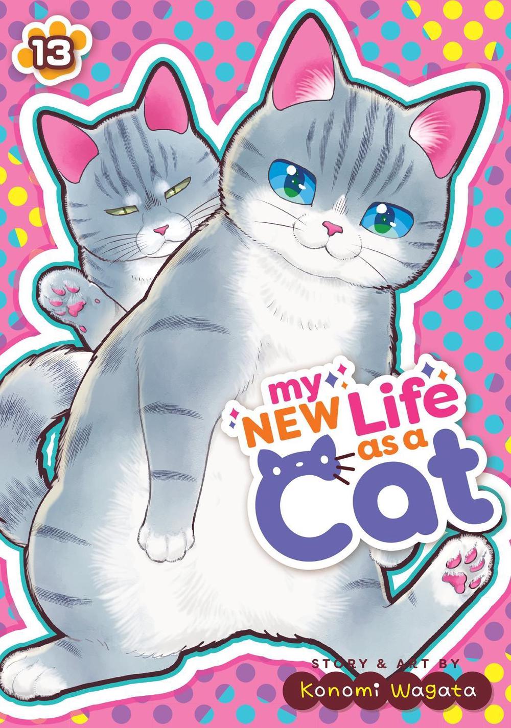My New Life as a Cat Vol. 13, 9798893736991