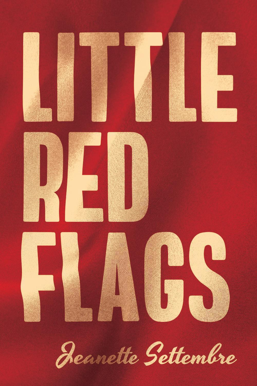 Little Red Flags by Jeanette Settembre - ISBN: 9798895653791
