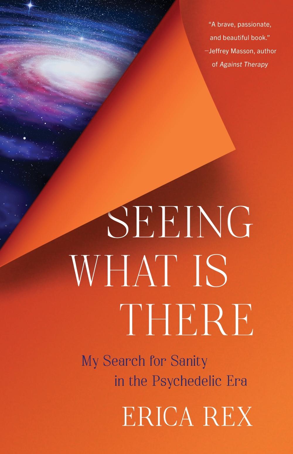 Seeing What Is There by Erica Rex - ISBN: 9798896360360