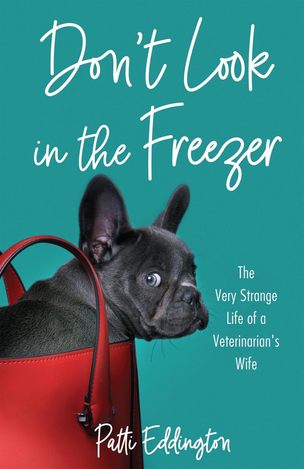 Don't Look in the Freezer by Patti Eddington - ISBN: 9798896361305
