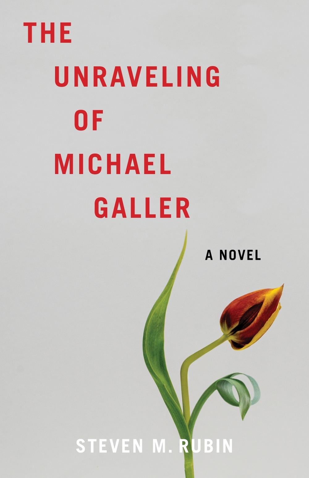 The Unraveling of Michael Galler by Steven M. Rubin - ISBN: 9798896363743