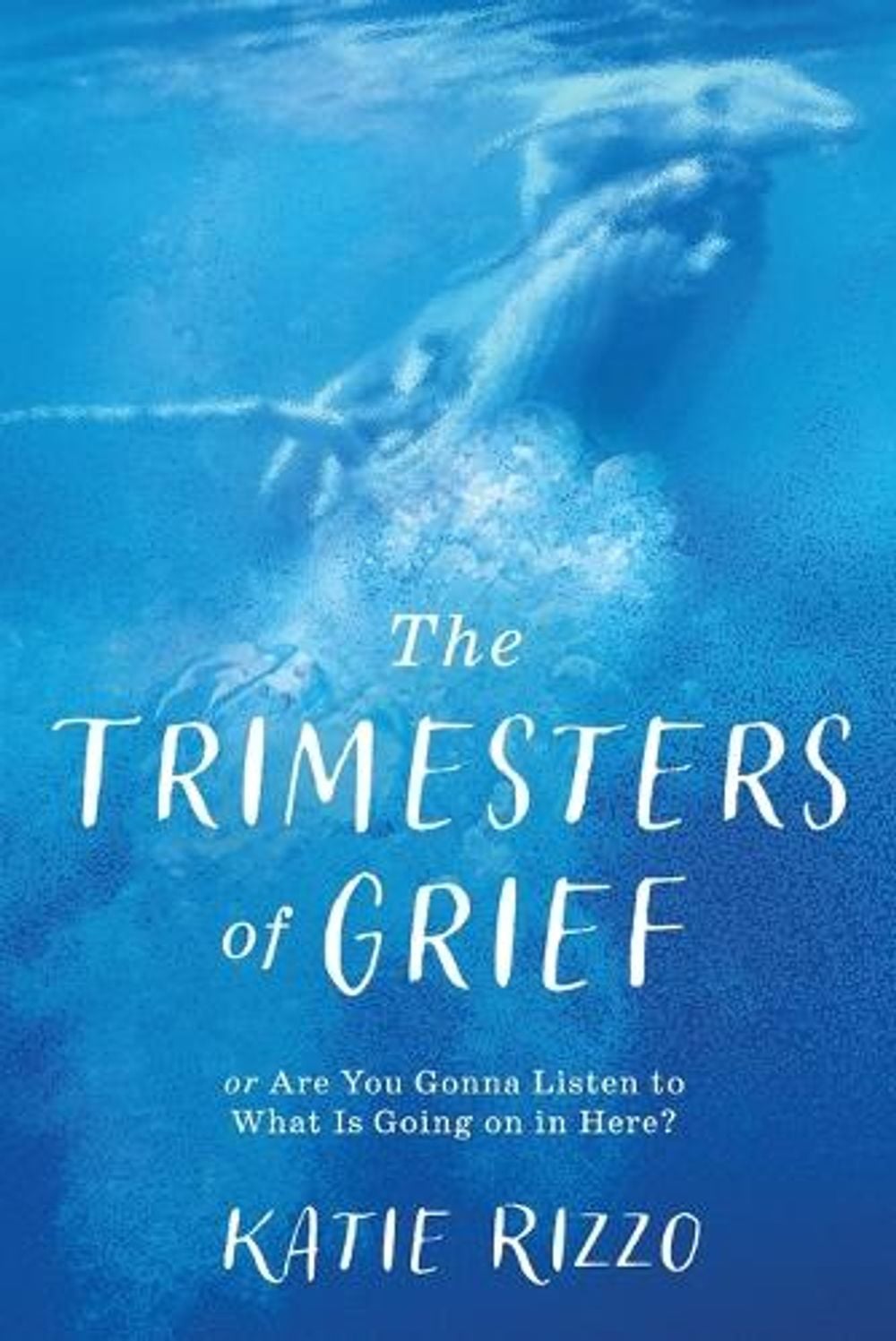 The Trimesters of Grief by Katie Rizzo - ISBN: 9798897472949