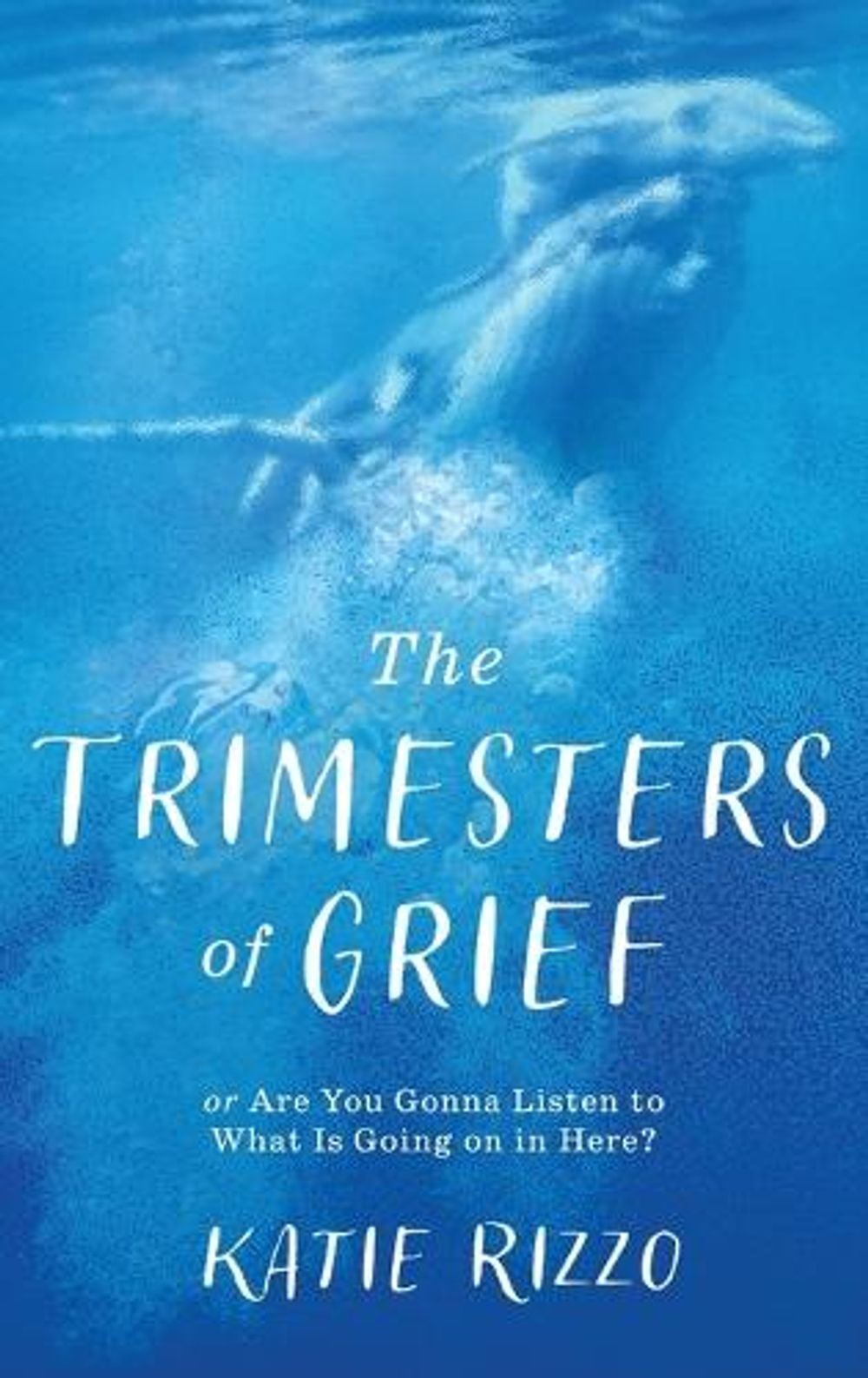 The Trimesters of Grief by Katie Rizzo - ISBN: 9798897472956