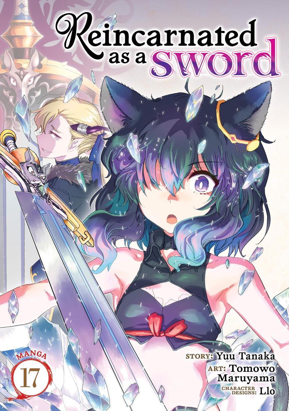Reincarnated as a Sword (Manga) Vol. 17, 9798897651726