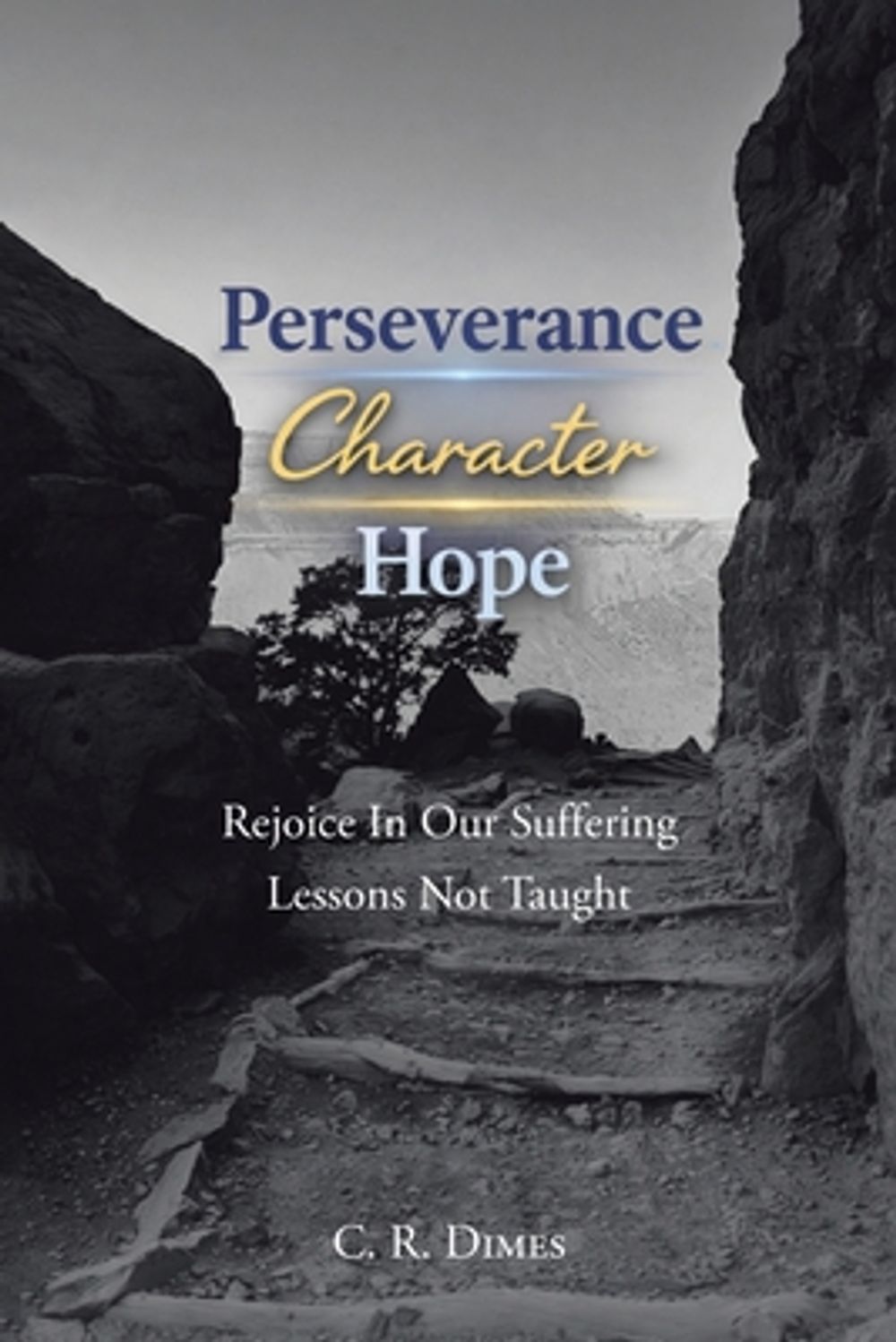 Perseverance, Character, Hope by C.R. Dimes - ISBN: 9798898386207