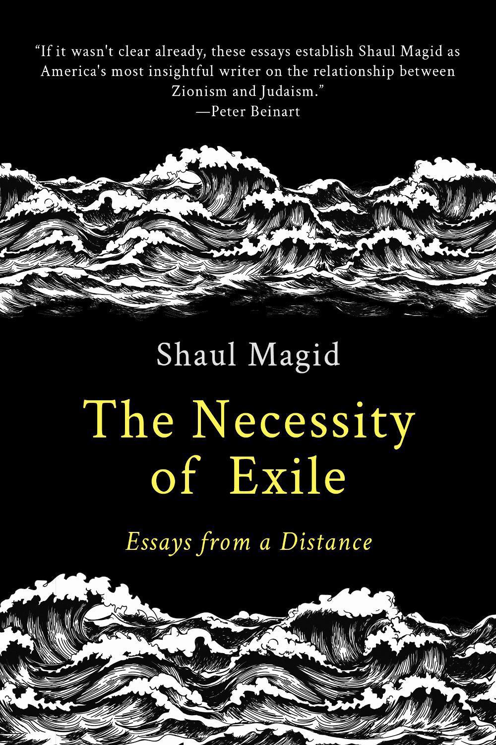 The Necessity of Exile, 9798986780313