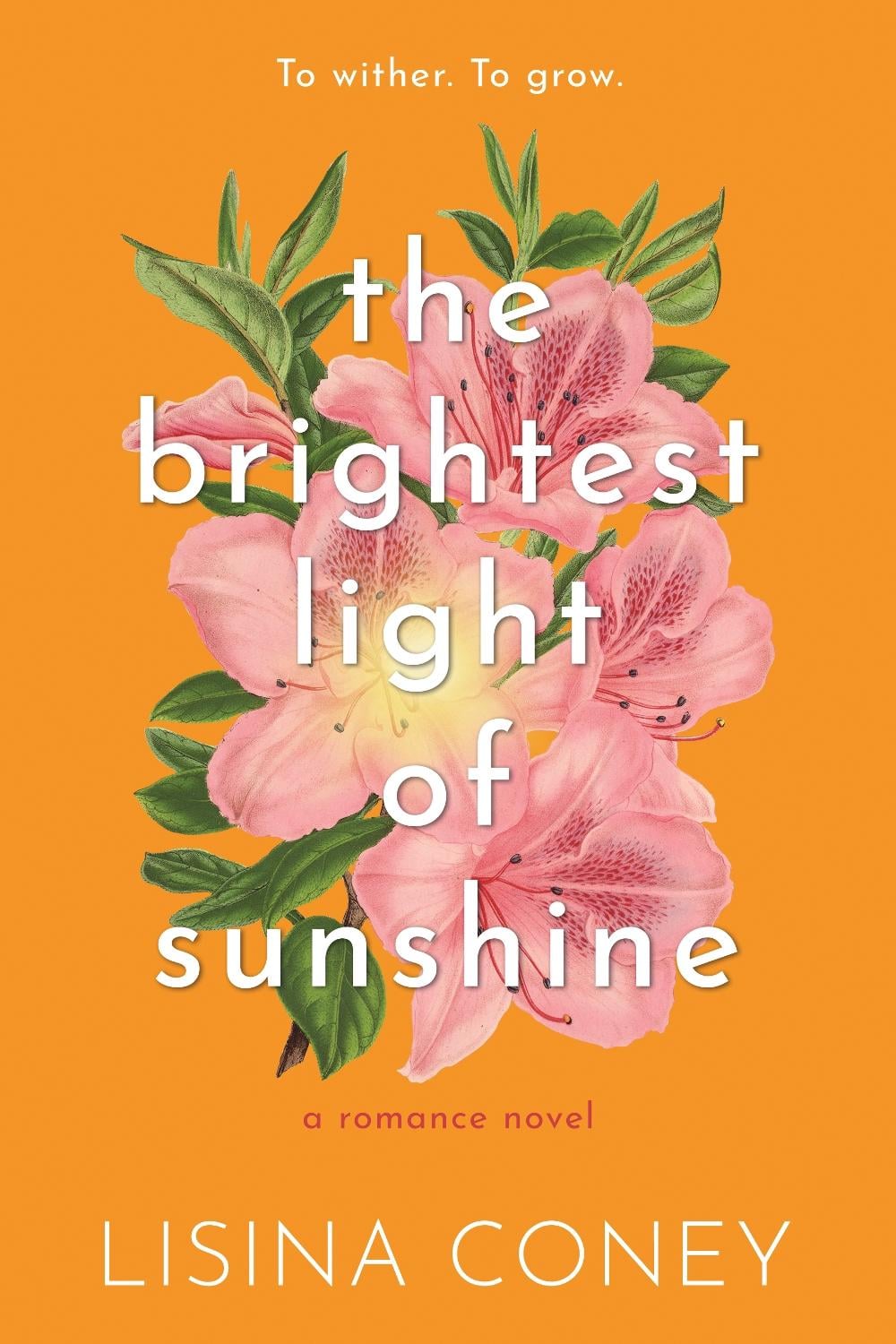 Brightest Light of Sunshine by Lisina Coney - ISBN: 9798987758342