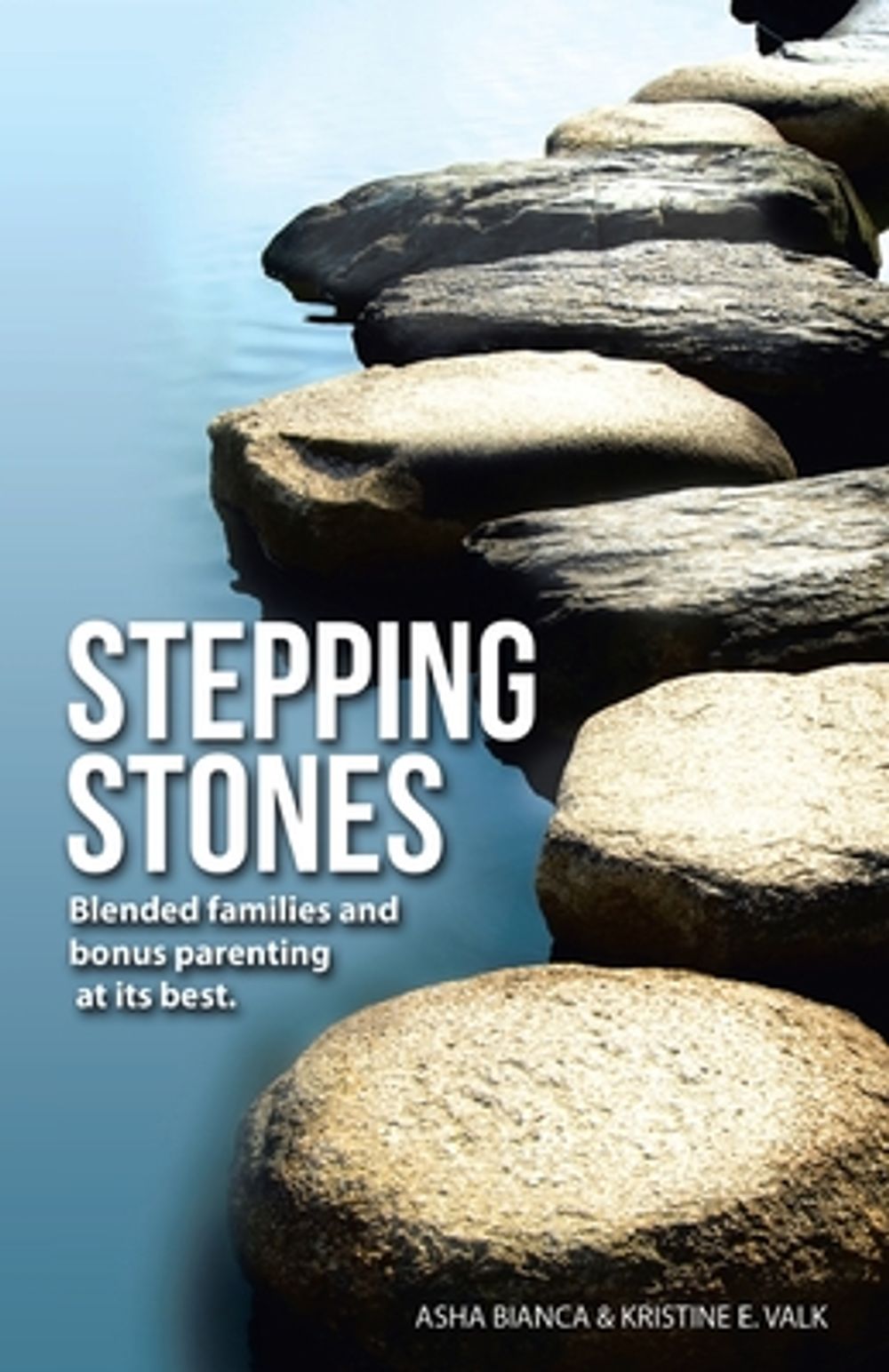 Stepping Stones by Asha Bianca - ISBN: 9798988060901
