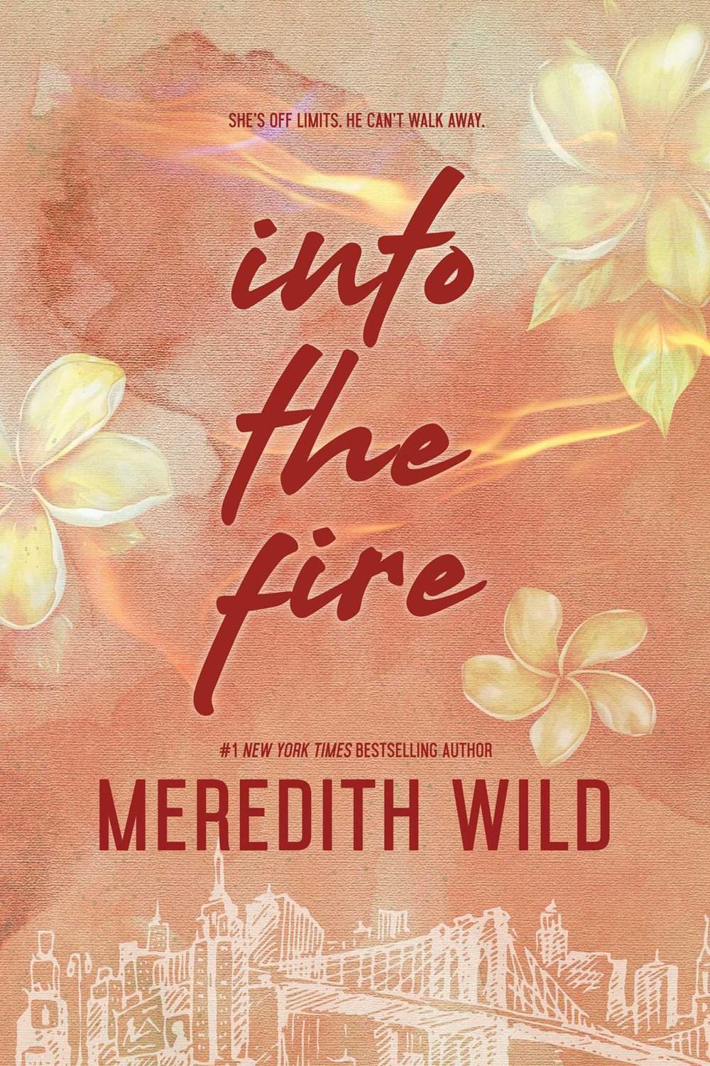 Into the Fire by Meredith Wild - ISBN: 9798989528813