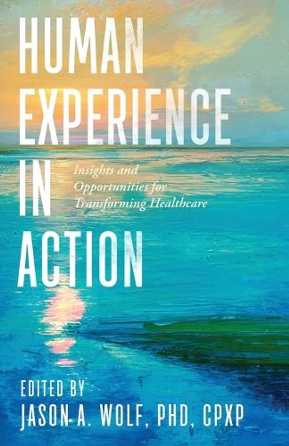 Human Experience in Action by Jason A. Wolf - ISBN: 9798990227262