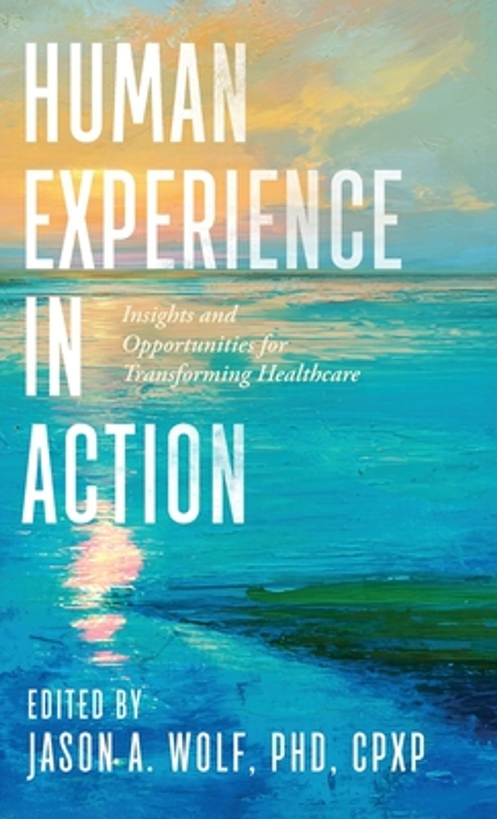 Human Experience in Action by Jason A. Wolf - ISBN: 9798990227286